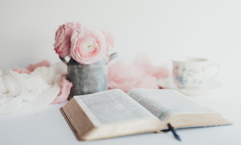 A Daily Grace Book Review: A Gospel Primer by Milton Vincent