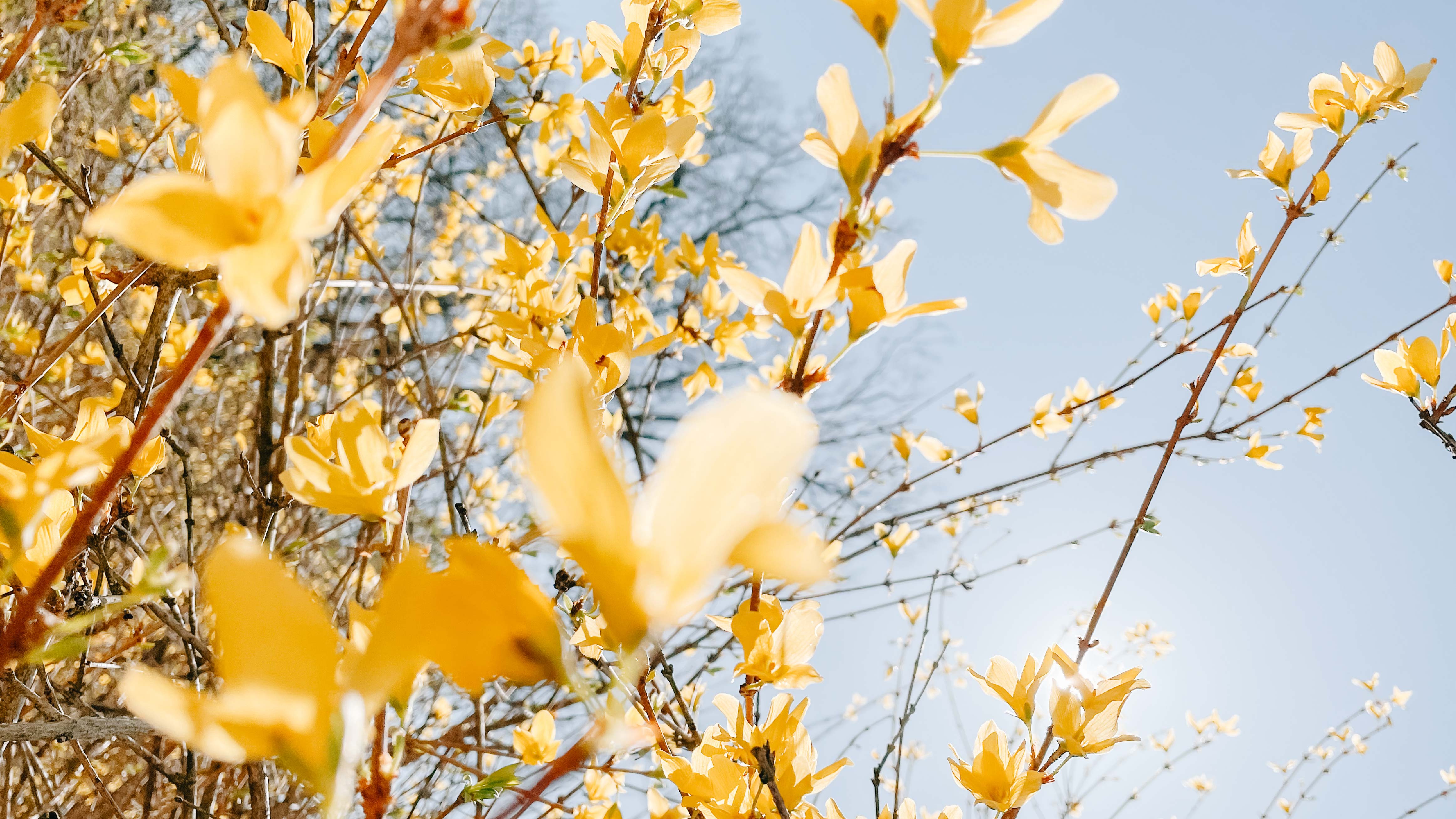 Hope For Your Pain In The Promise Of Eternity