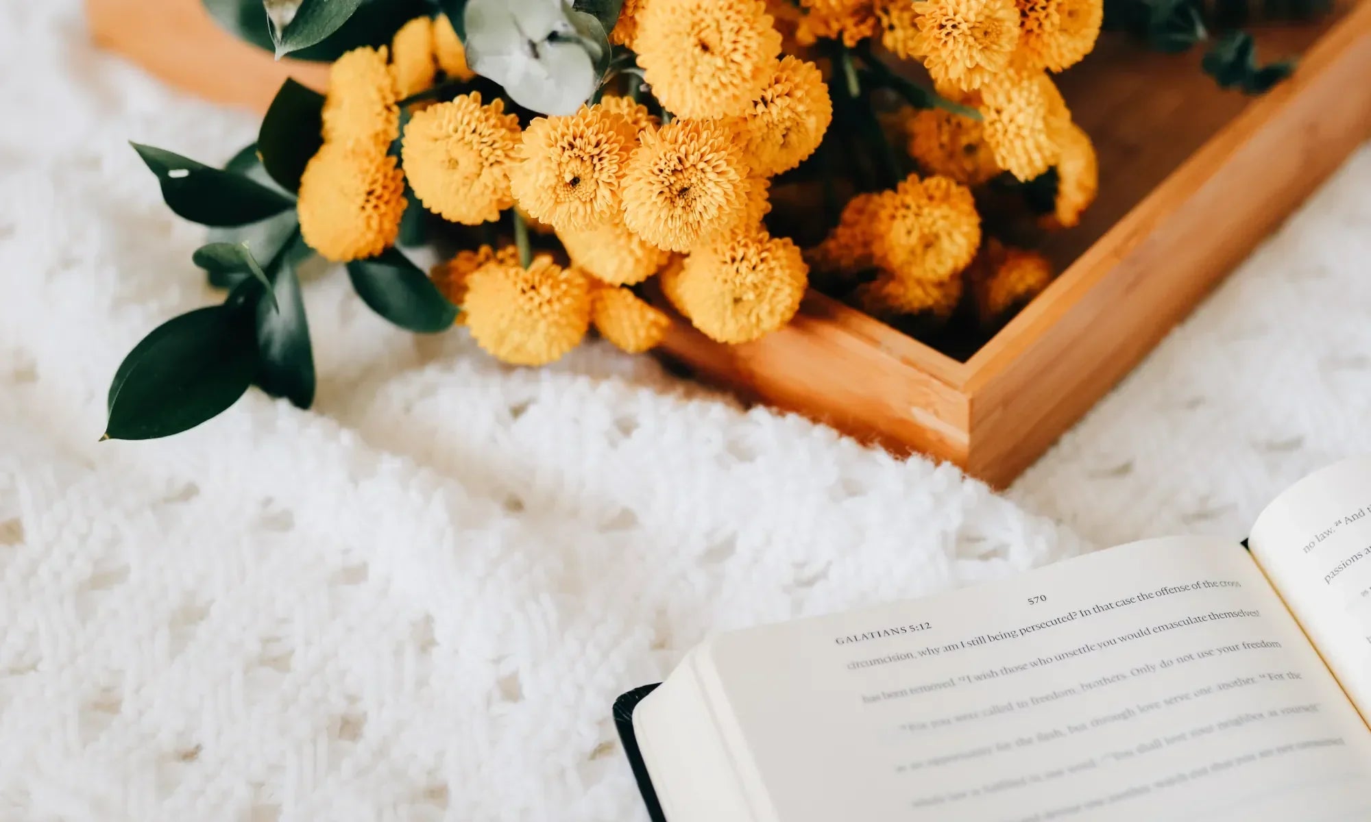 Yellow flowers next to an open bible on a  white knitted blanket