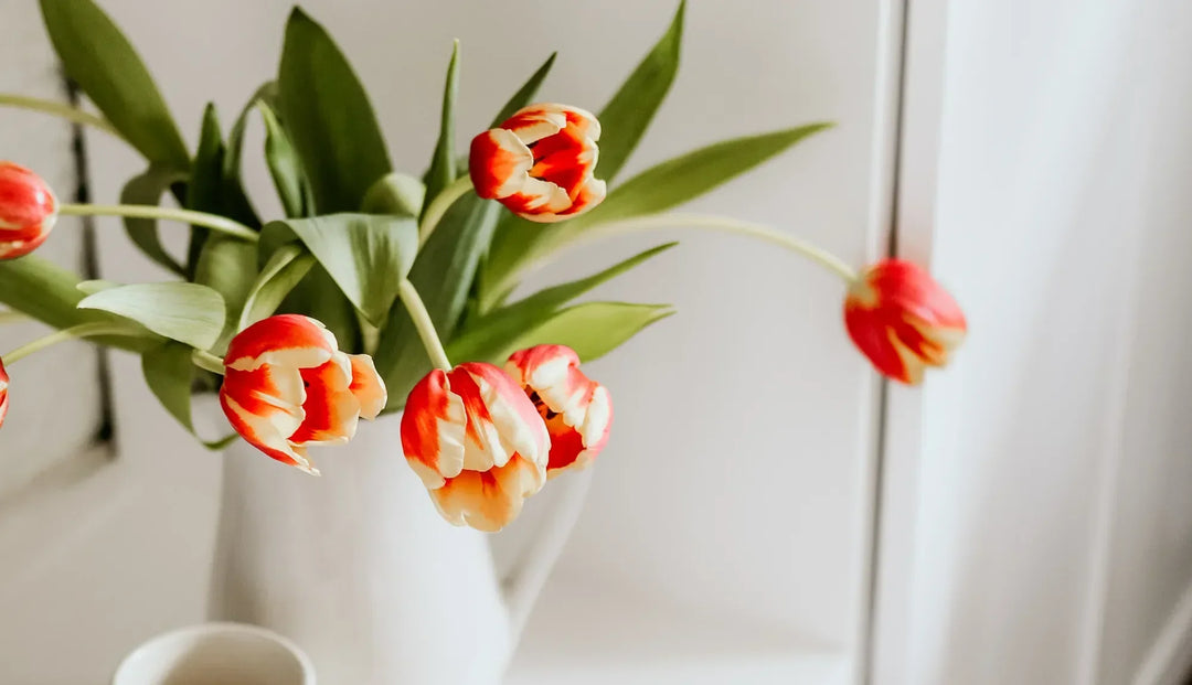 red flowers in a white potted plant