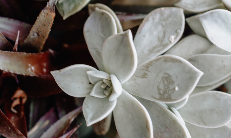 Five Things You're Missing in the Old Testament Law