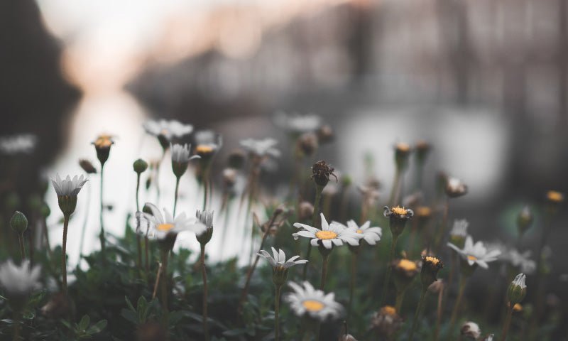 Take Heart: Full Sun is Coming