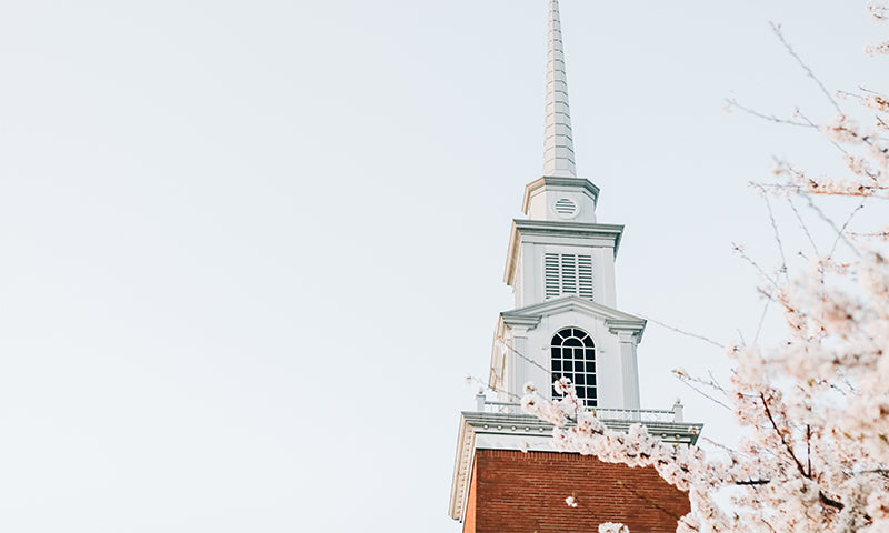 The Beauty of Racial and Cultural Diversity in the Church with Aubrey Coleman | Ep. 64