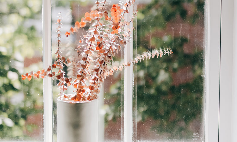 How to Disagree Well with Others | Ep. 83