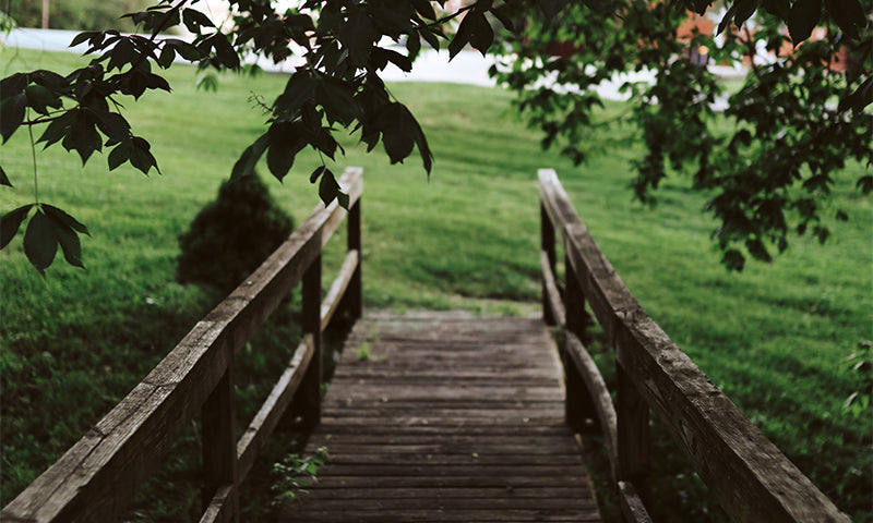 Walking with Others Through Suffering and Grief | Ep. 75