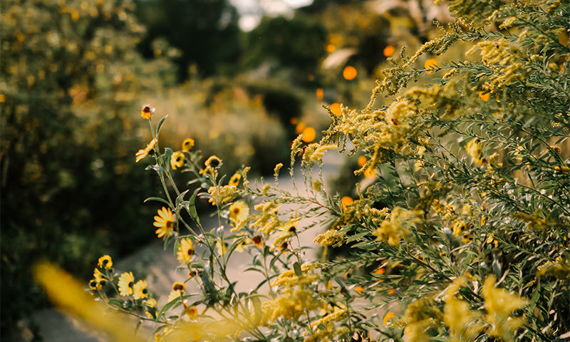 “You Do You”, Shame, and Repentance with Maggie Combs | Ep. 90