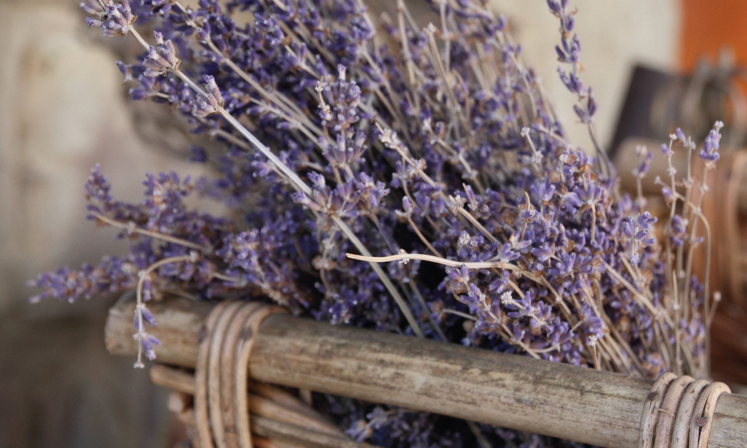 Incline My Heart: Prayers from Psalm 119