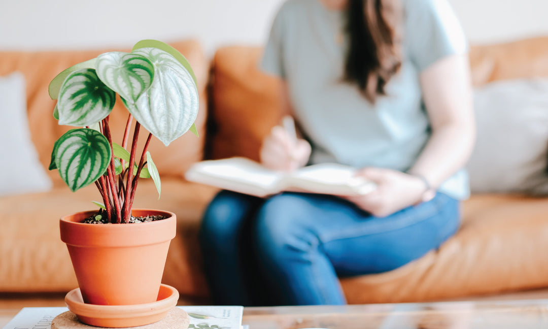 Practical Ways to Improve Your Prayer Life | BONUS