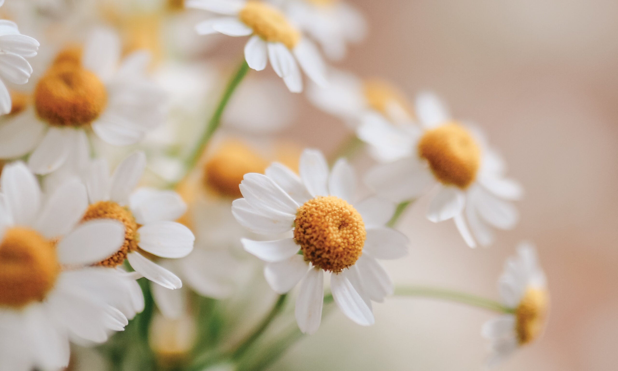 Can We Disagree and Still Remain Friends? | Ep. 167