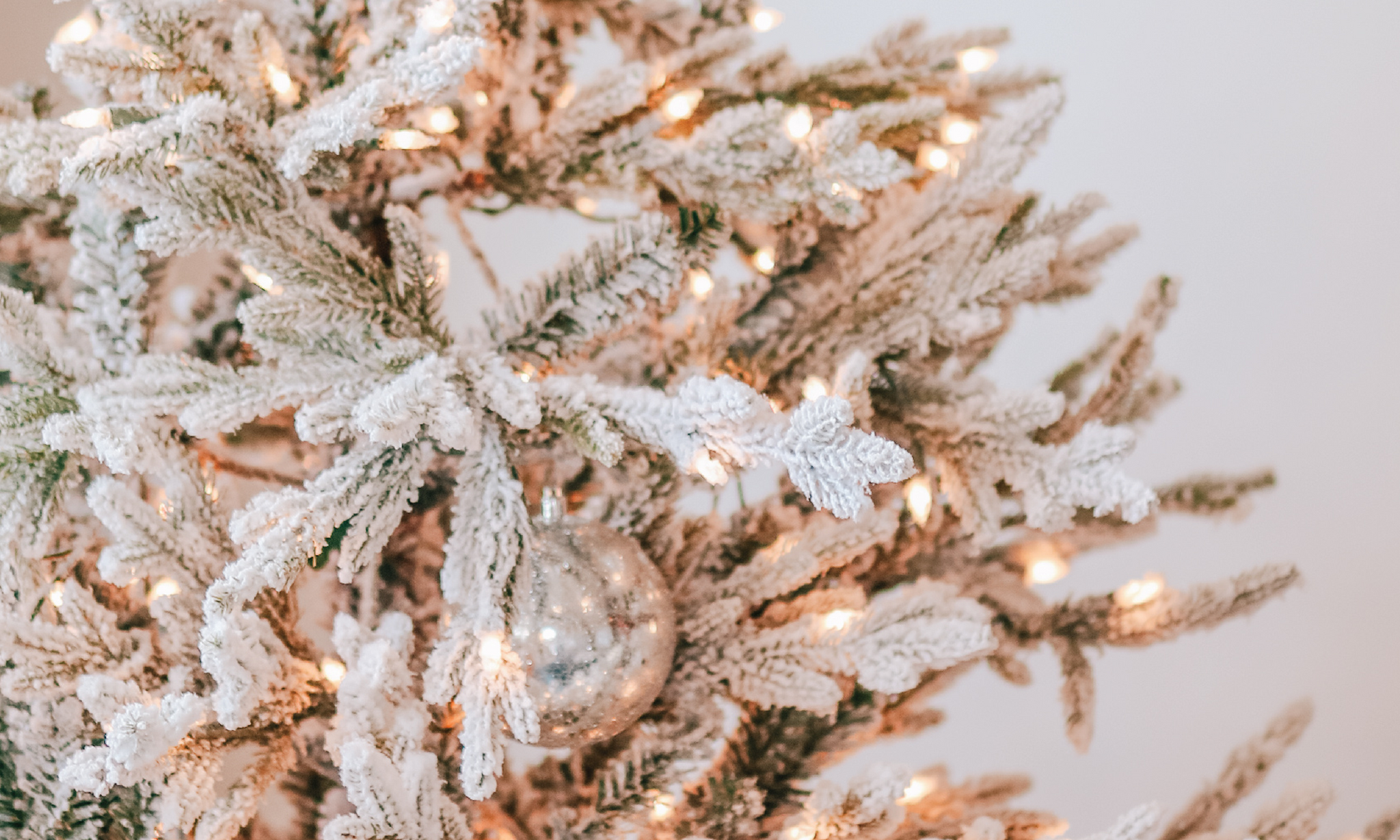 Five Minute Meditations: Seeking Joy in the Holiday Hustle | Ep. 211