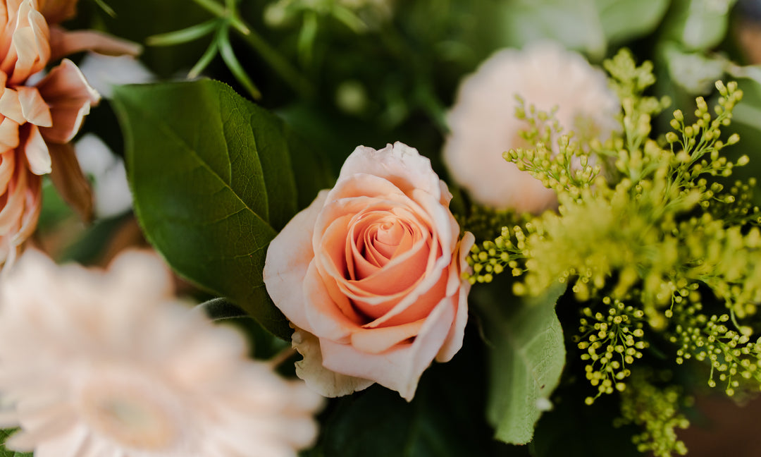 Unmet Expectations: Gospel Hope for Disappointment in Marriage and Singleness | Ep. 221