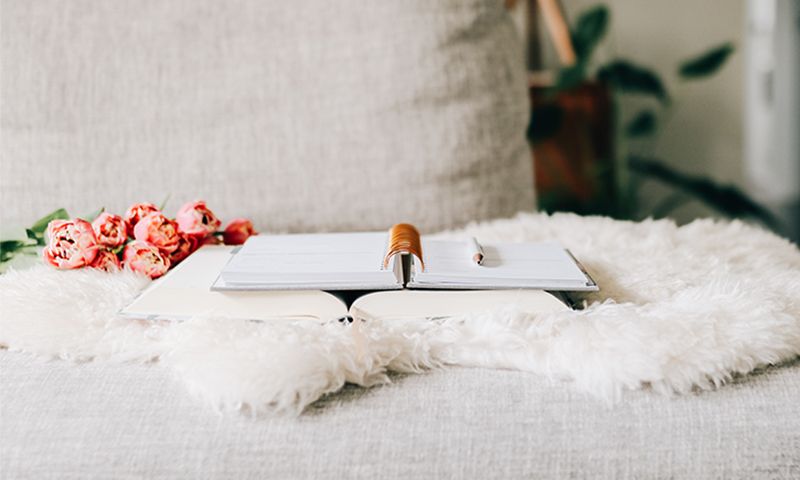 How to Read a Book of the Bible Independently