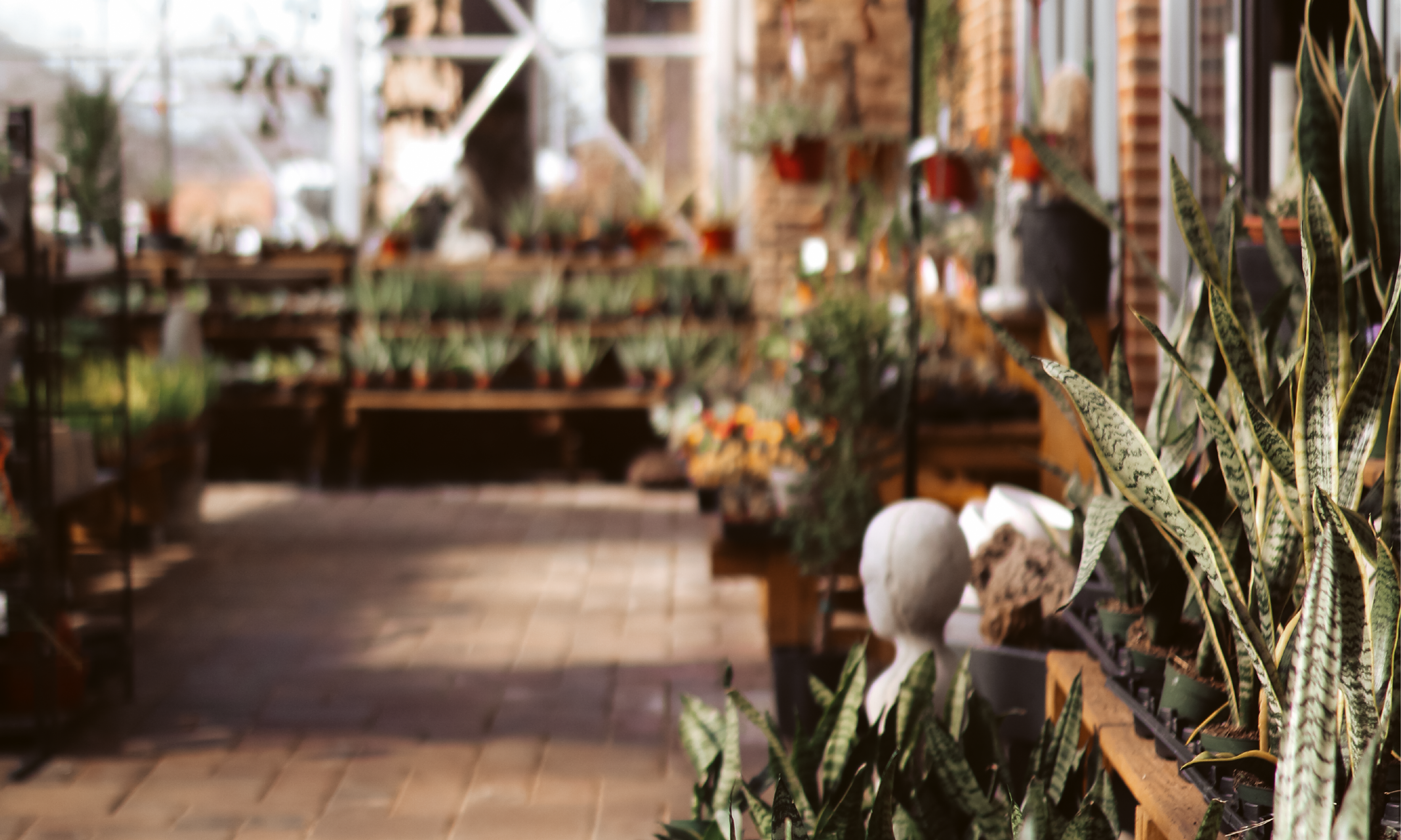 Scene of a flower and garden store with a paved tile flooring