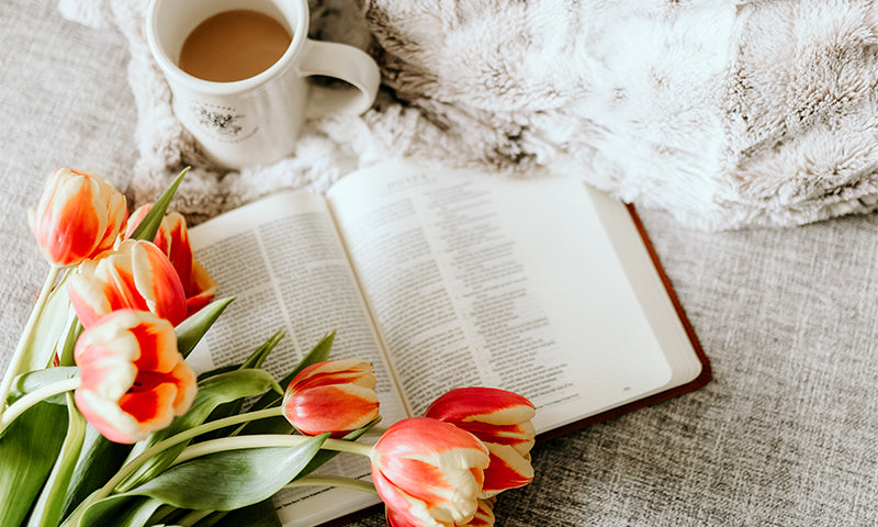 Searching for Control in an Out of Control World | Ep. 112