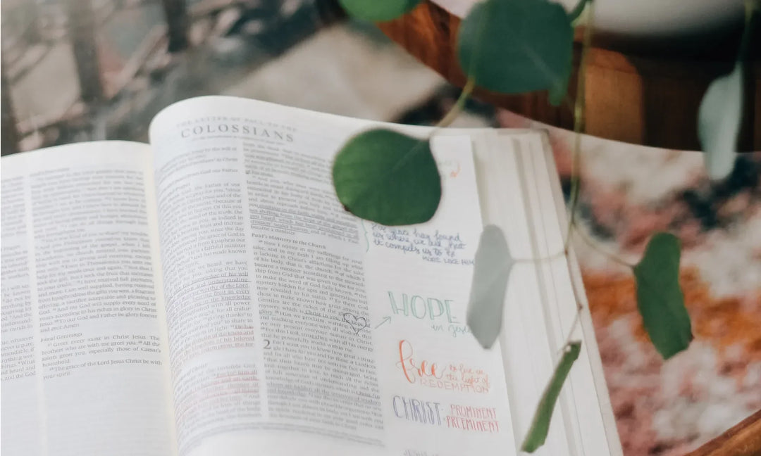 An open bible with notes on the side of the bible with leaves hanging overhead