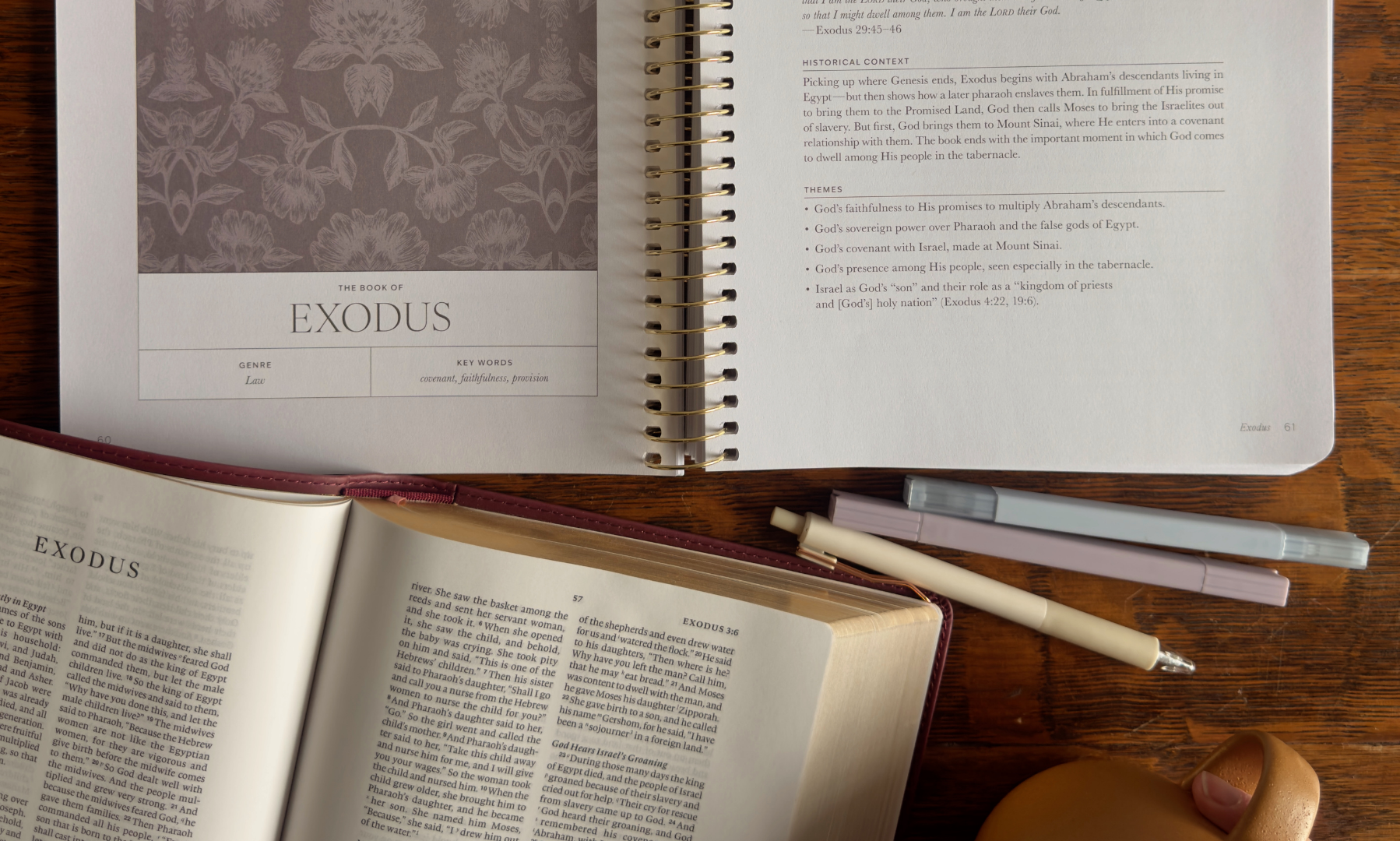 Discovering the Beauty of Jesus Through Scripture in 2026