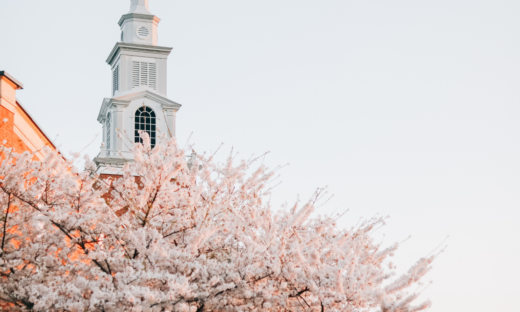 A white chapel building behind a tree with white branches