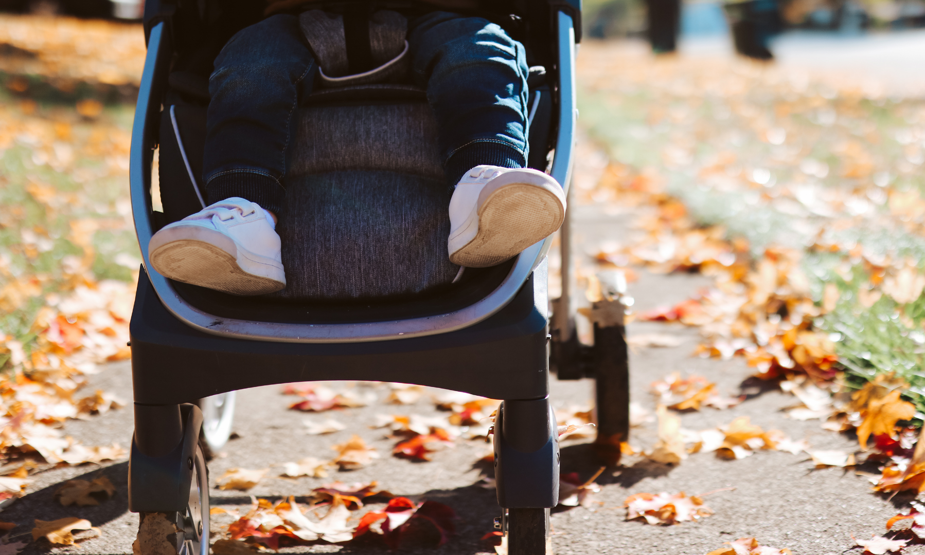 A child sitting in a stroller on a sidewalk with fallen leaves on both sides