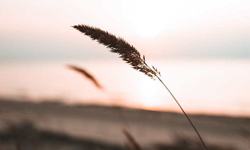 Frazzled or Faith-Filled: A Review of Crazy Busy, by Kevin DeYoung