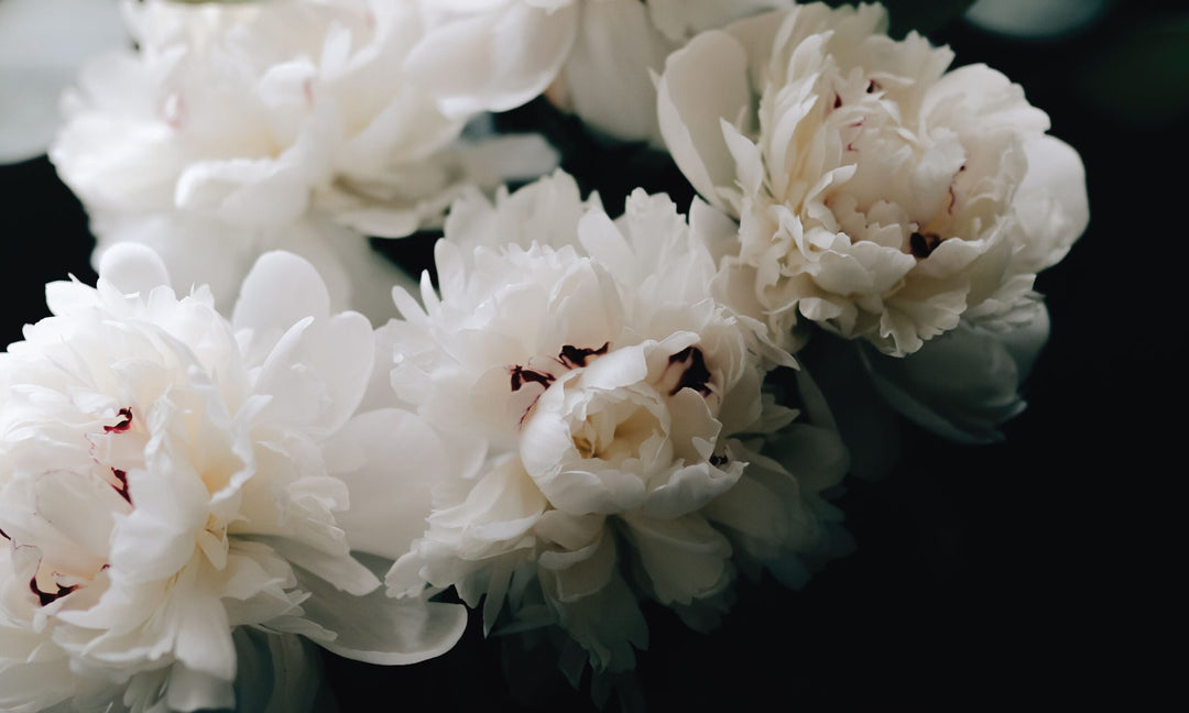 Navigating Anxiety in an Anxious World w/ Alexa Hess | Ep. 164