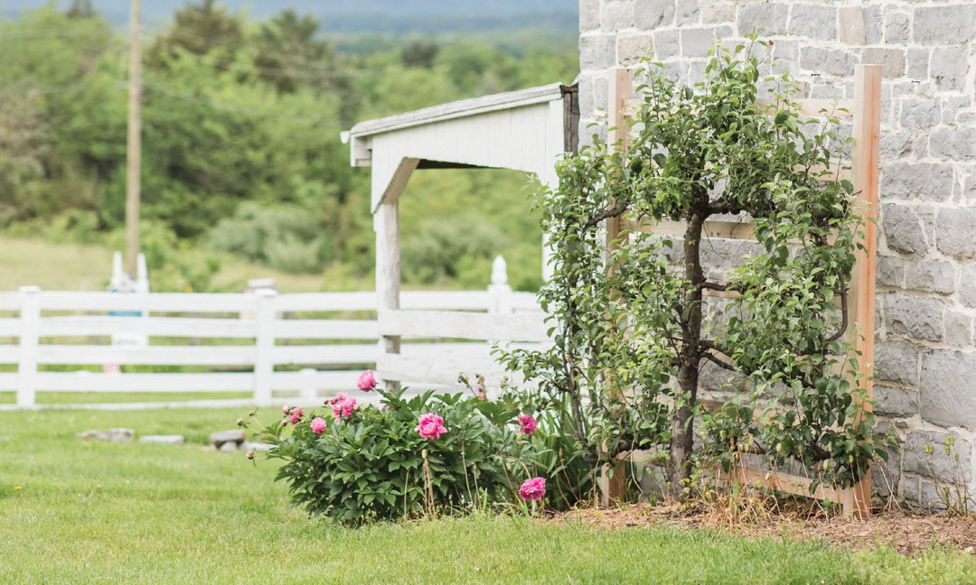 Come to Me: Encouragement for those Returning to Christ