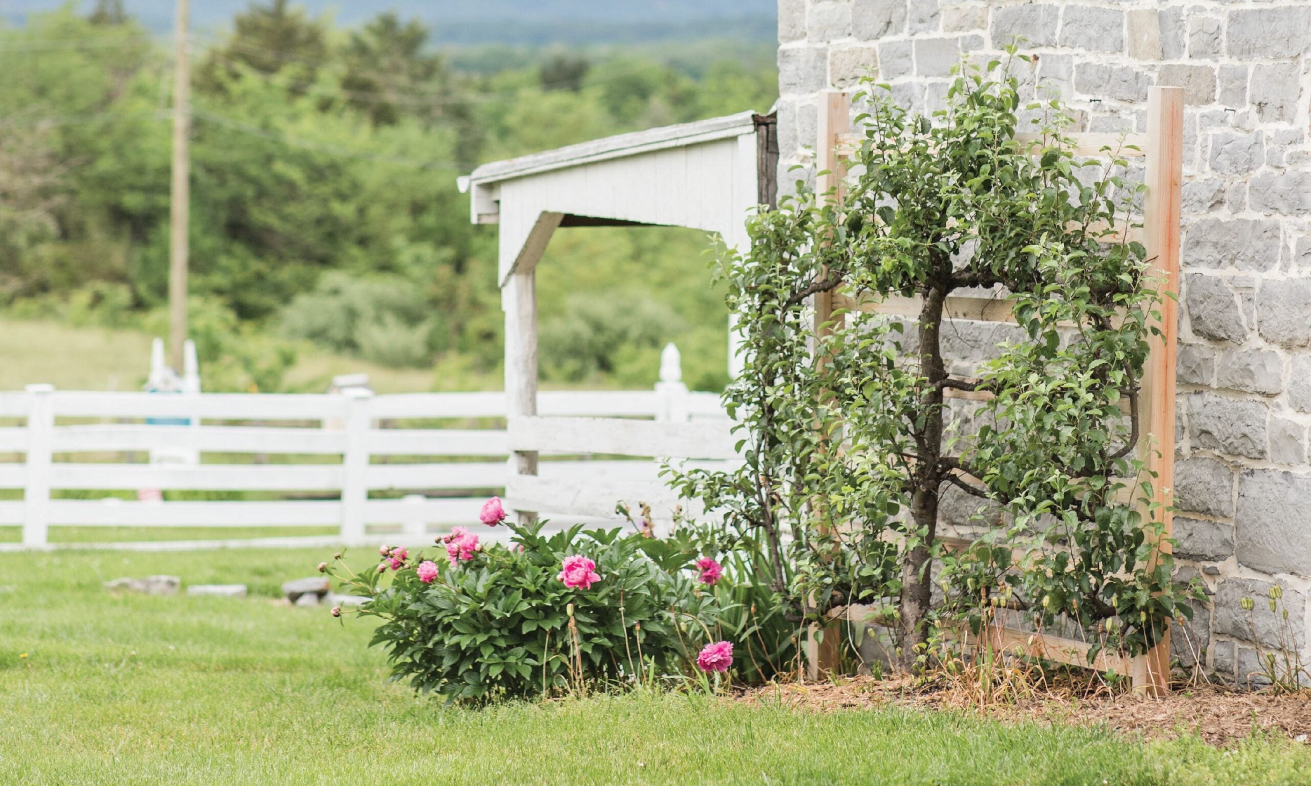 Come to Me: Encouragement for those Returning to Christ