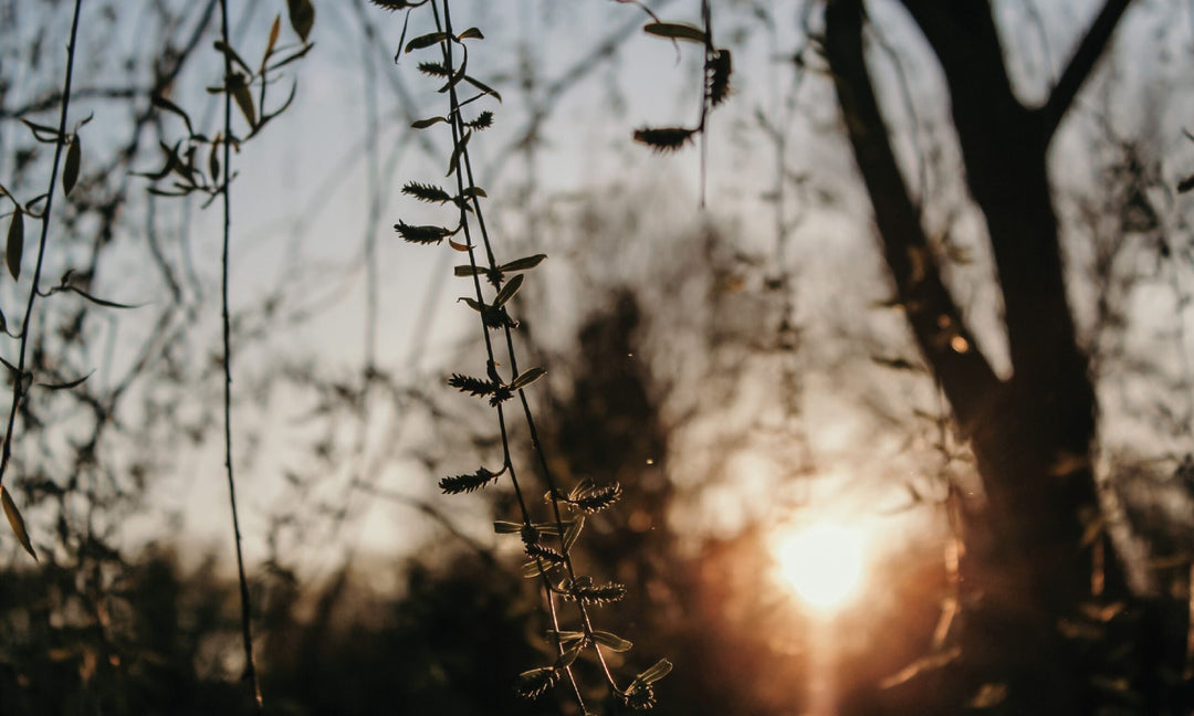 God's Promises for Those Who Feel Weak