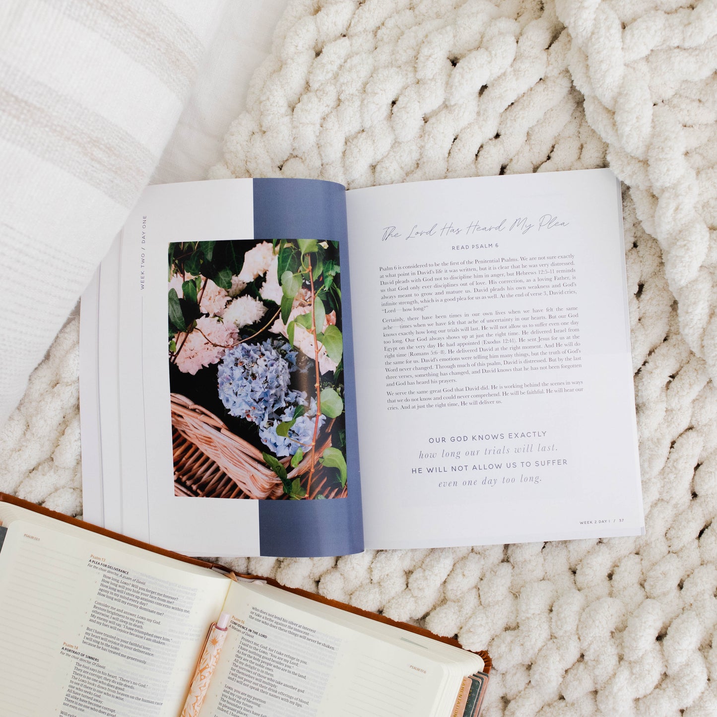 Delight | Psalms 1-30