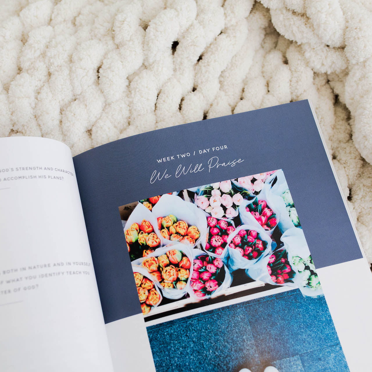 Delight | Psalms 1-30