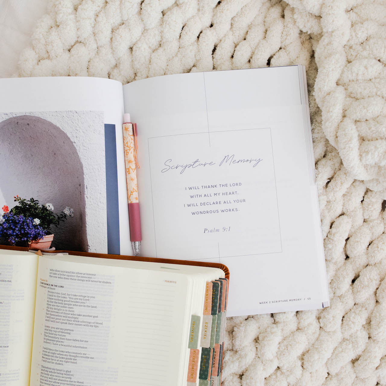 Delight | Psalms 1-30