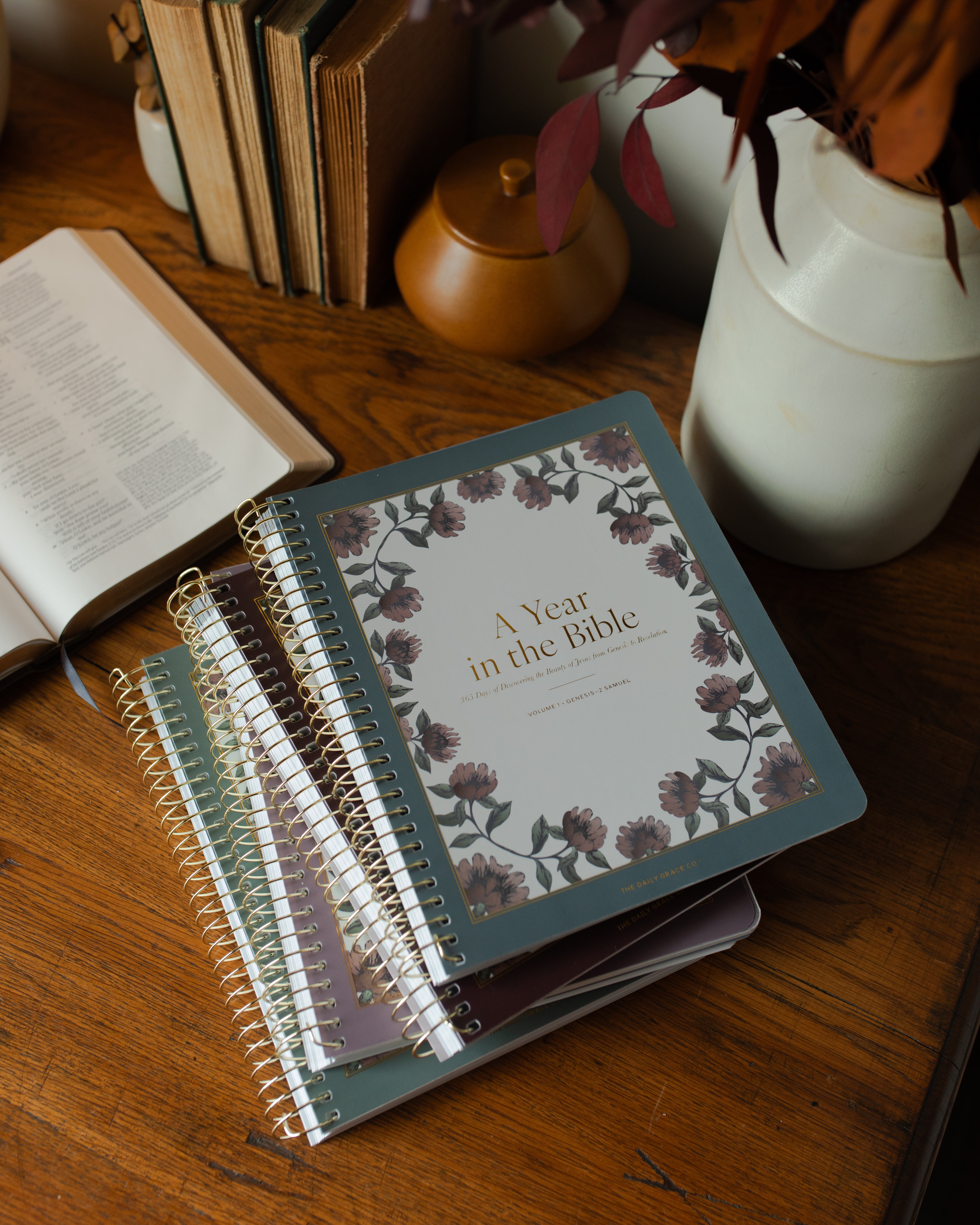 AYearInTheBible_6.jpg__PID:af03341d-ee57-42c7-bf9d-ec6639a3f638
