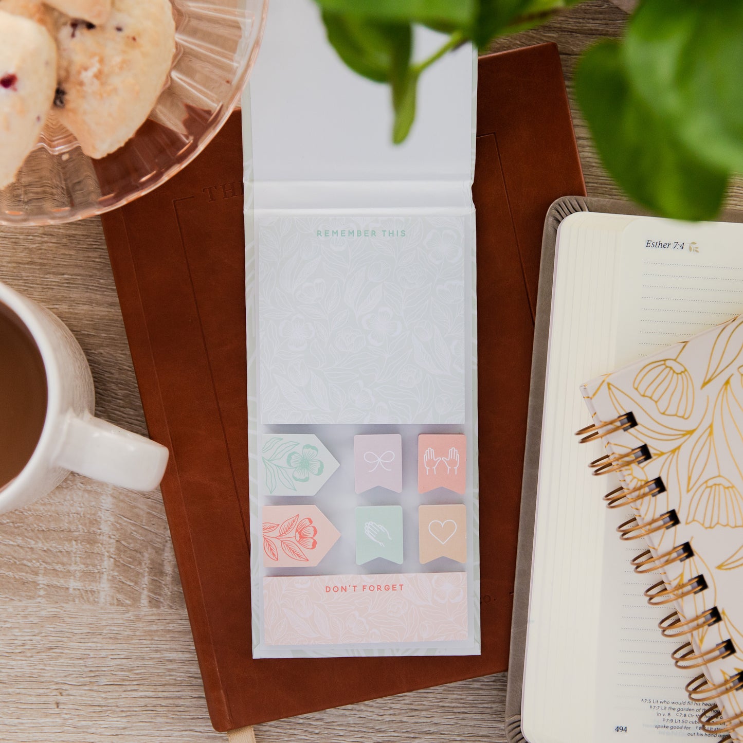 Bible Sticky Notes | The Daily Grace Co.