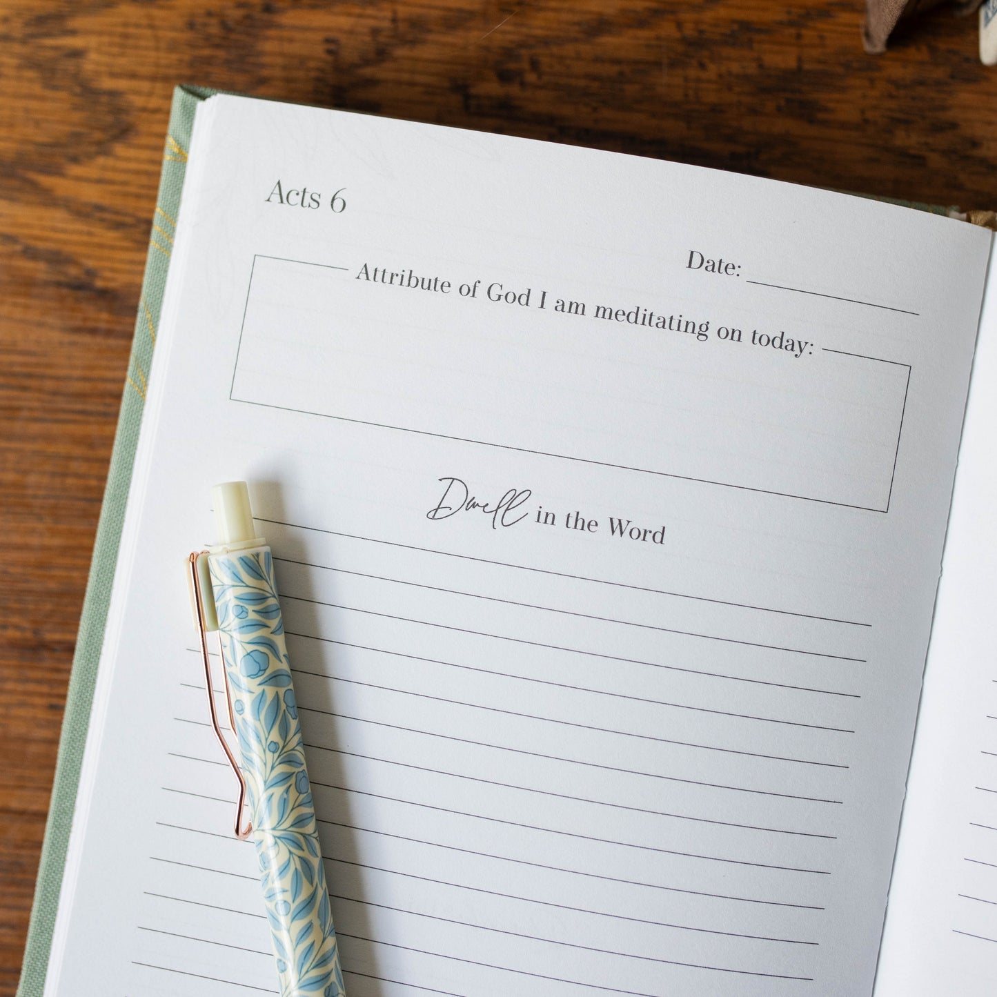 Behold New Testament Journal | Volume 2 | John - Romans | TDGC