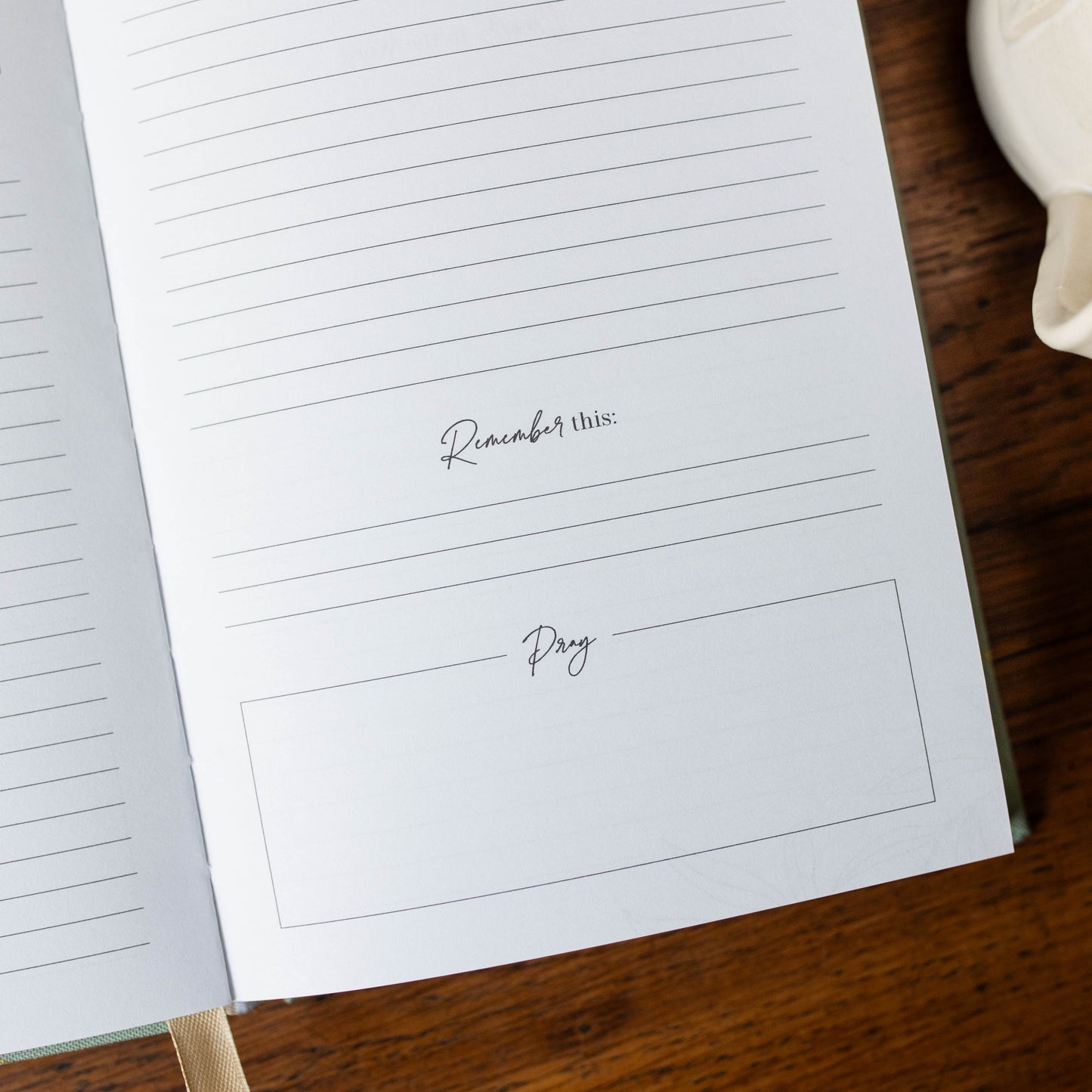 Behold New Testament Journal | Volume 2 | John - Romans | TDGC