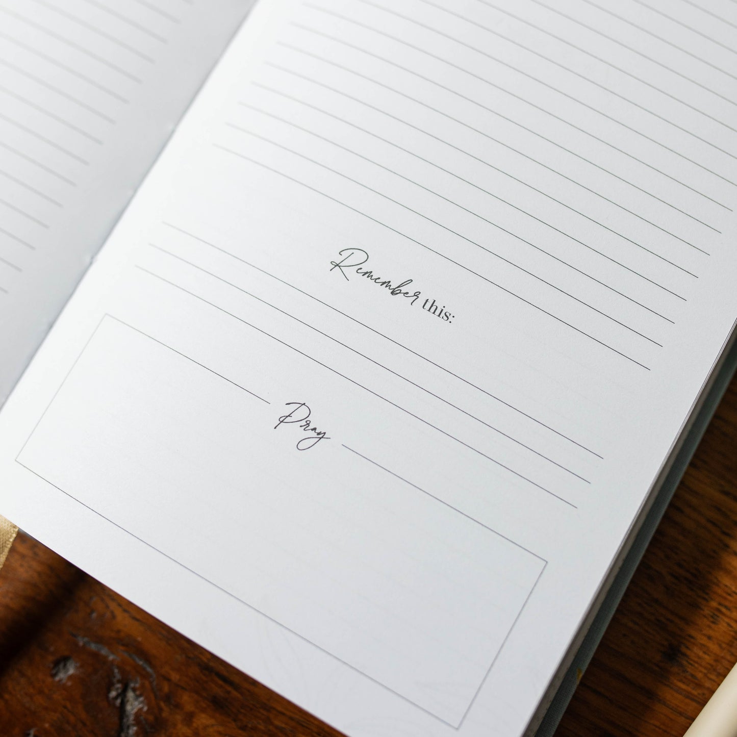 Behold New Testament Journal | Volume 3 | 1 Corinthians - Titus | TDGC