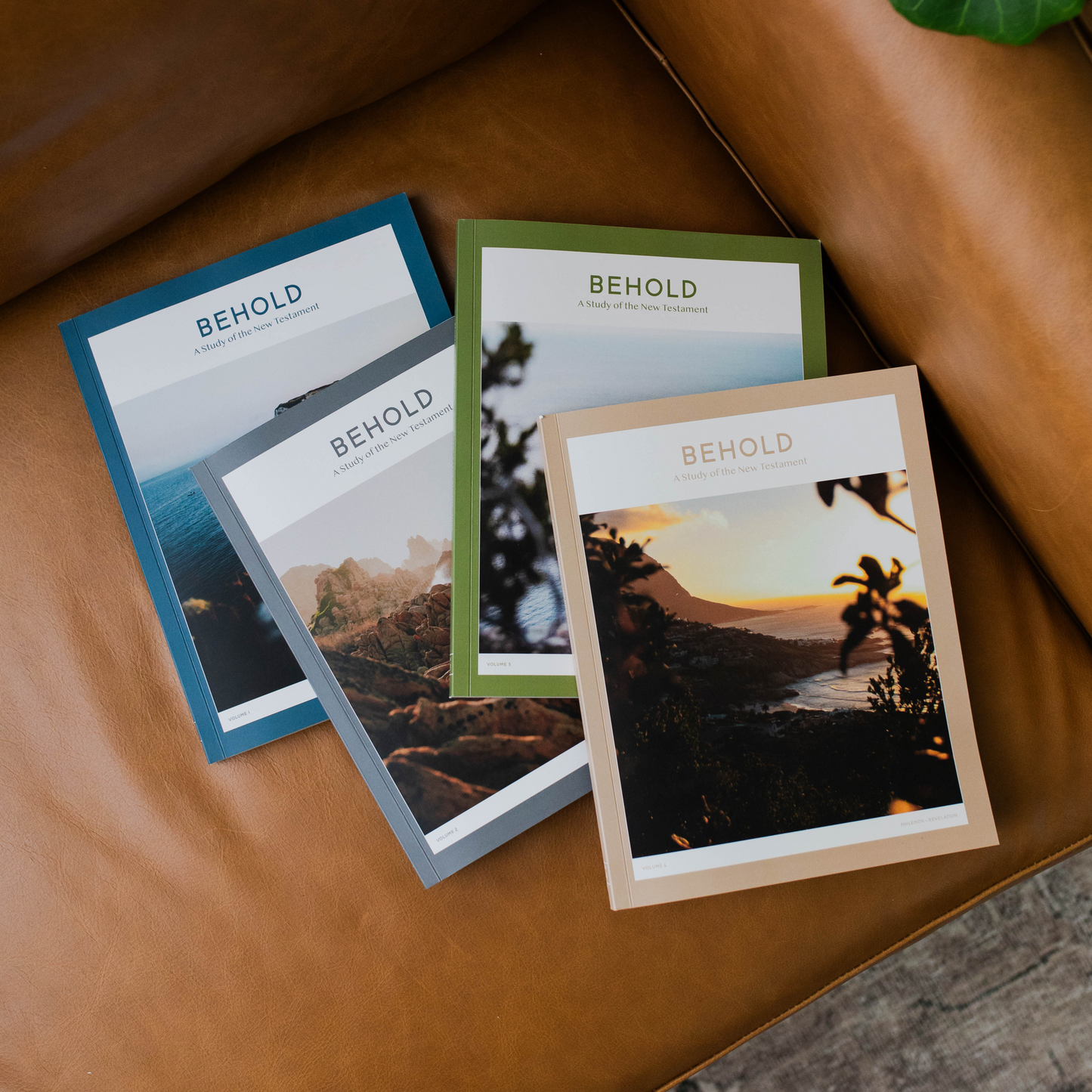 Behold: A Study of the New Testament Bundle - Men |TDGC