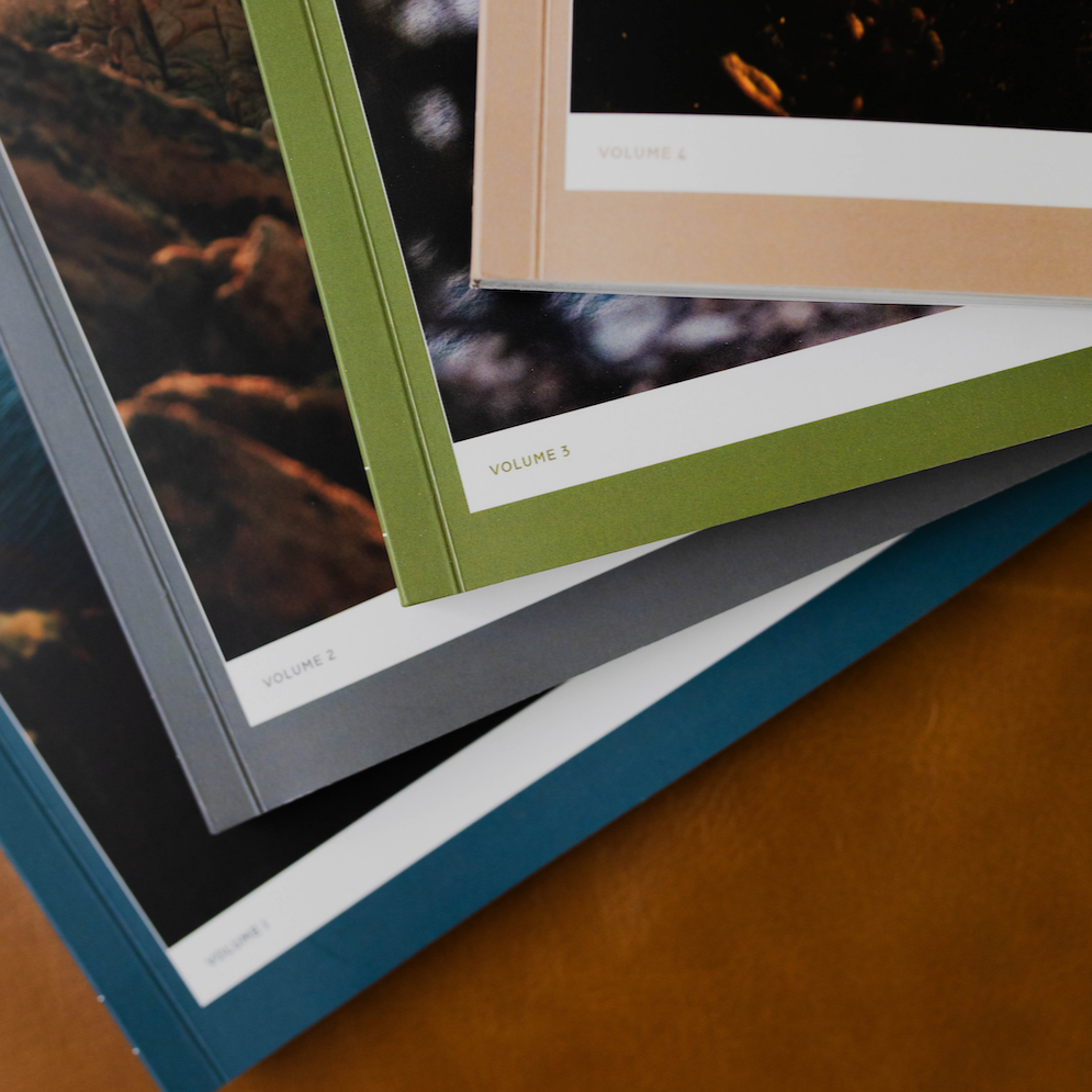 Behold: A Study of the New Testament Bundle - Men |TDGC