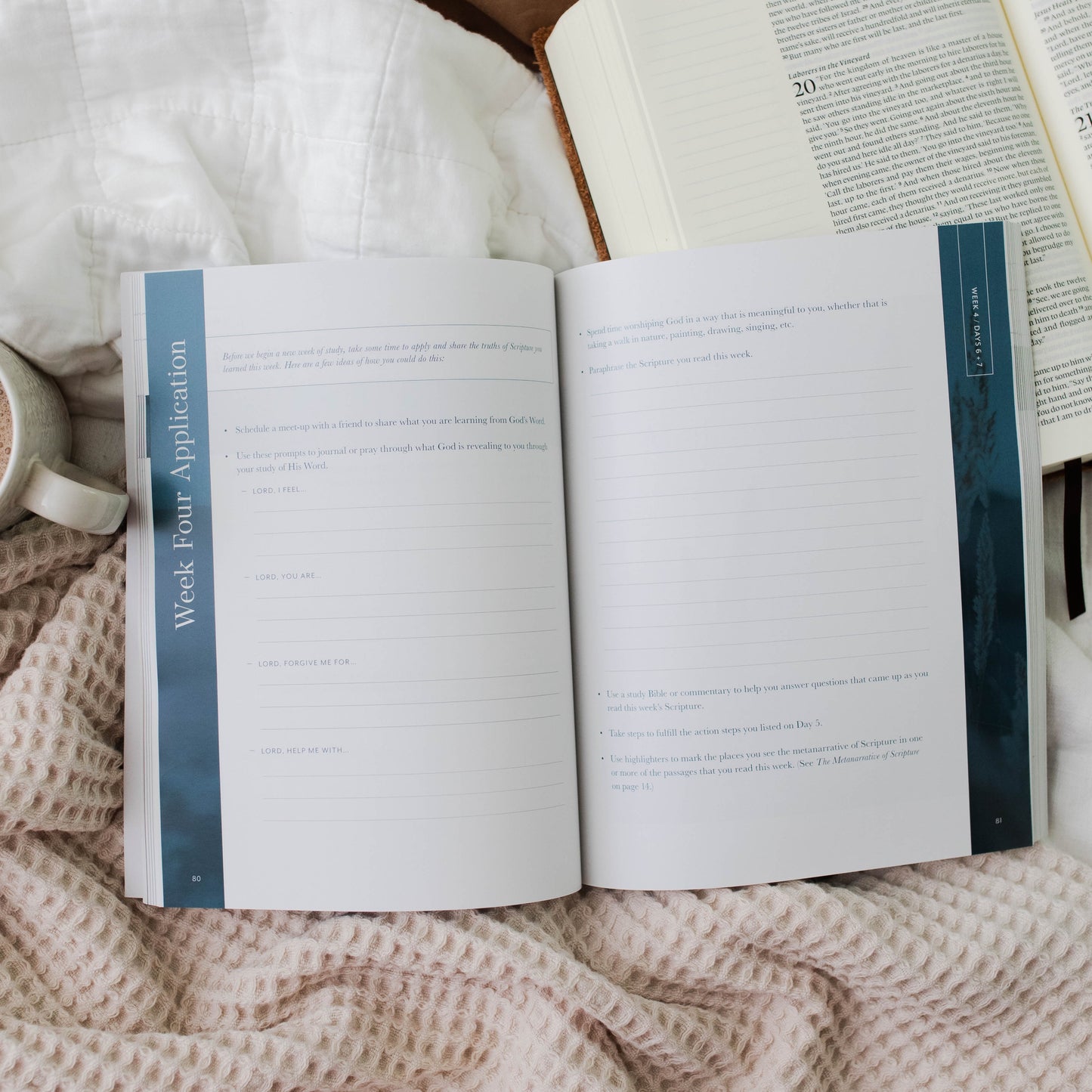 Behold: A Study of the New Testament | Volume 1 | Matthew - Luke