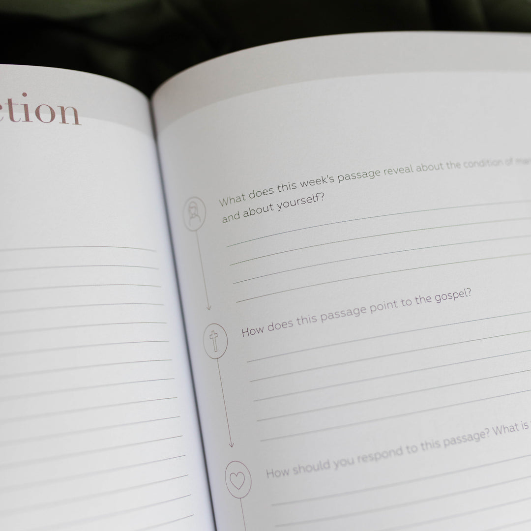 Example of reflection questions in Lamentations Bible study for women