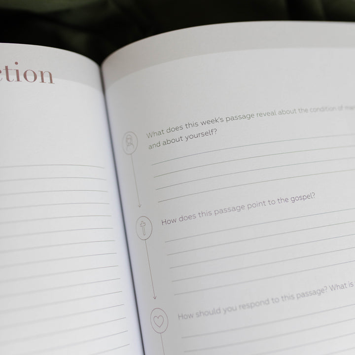 Example of reflection questions in Lamentations Bible study for women