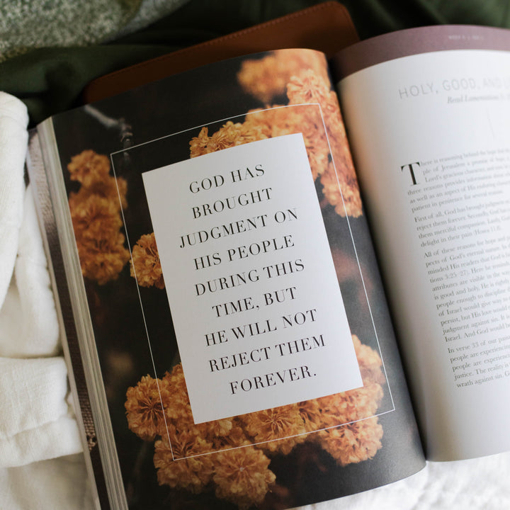 Call out design in Lamentations Bible study for women