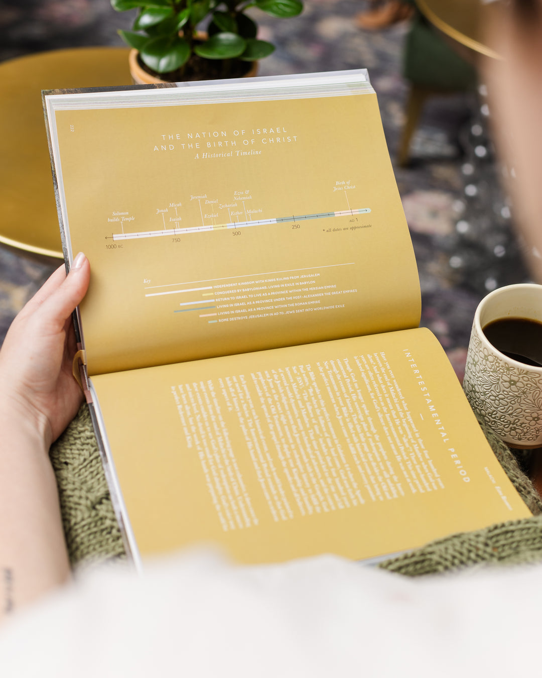 Woman looking at handbook opened to timeline