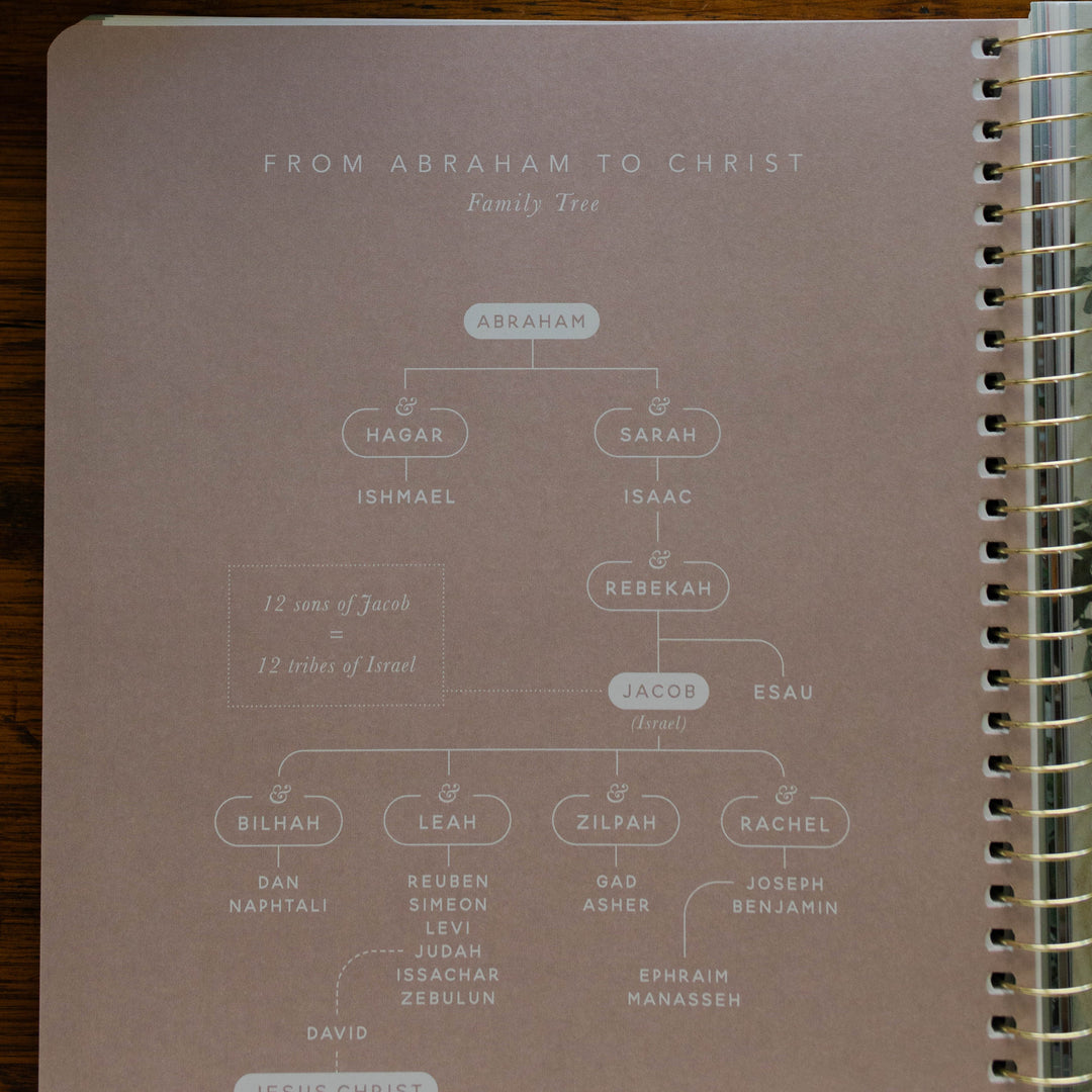 biblical family tree in christ in all of scripture bible study for women