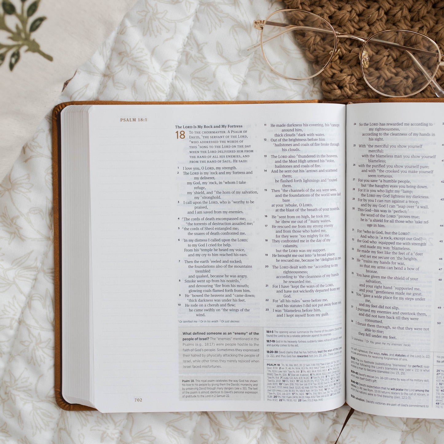 ESV Journaling Study Bible TruTone over Board, Nubuck Caramel | The Daily Grace Co.