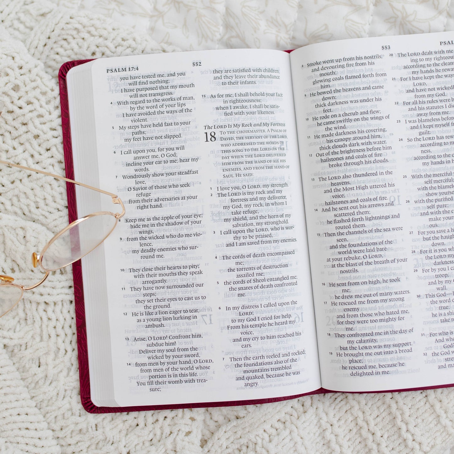ESV Large Print Value Thinline Bible TruTone®, Raspberry, Floral Design | TDGC