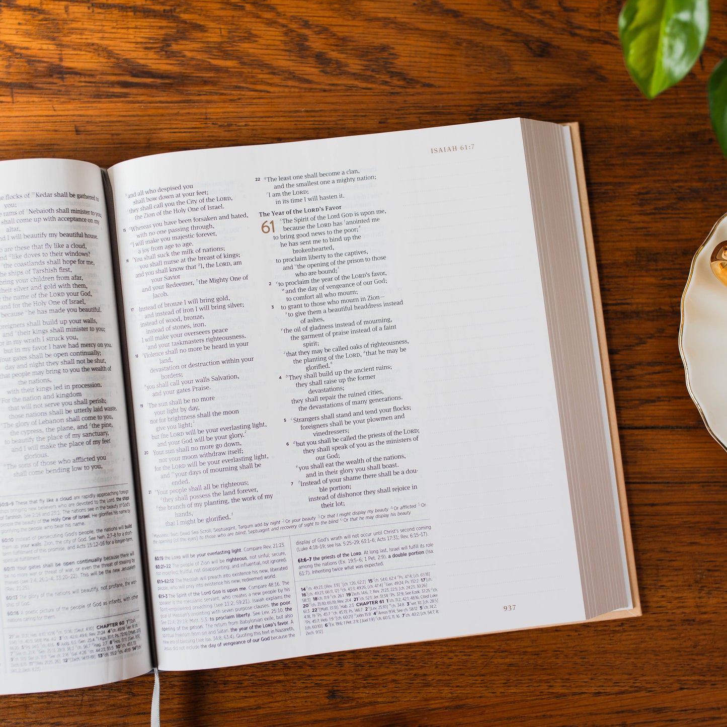 ESV Journaling Study Bible Cloth over Board, Blush/Ochre, Floral Design | The Daily Grace Co.