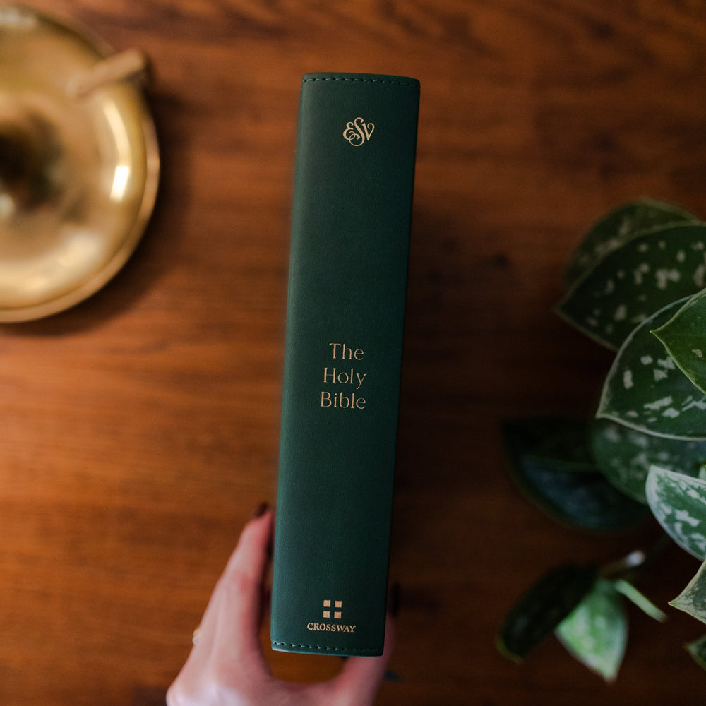 ESV Journaling Bible spine in Wild Rose