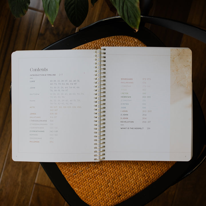 Eden to Eternity Volume 4 opened to the contents page on a woven chair