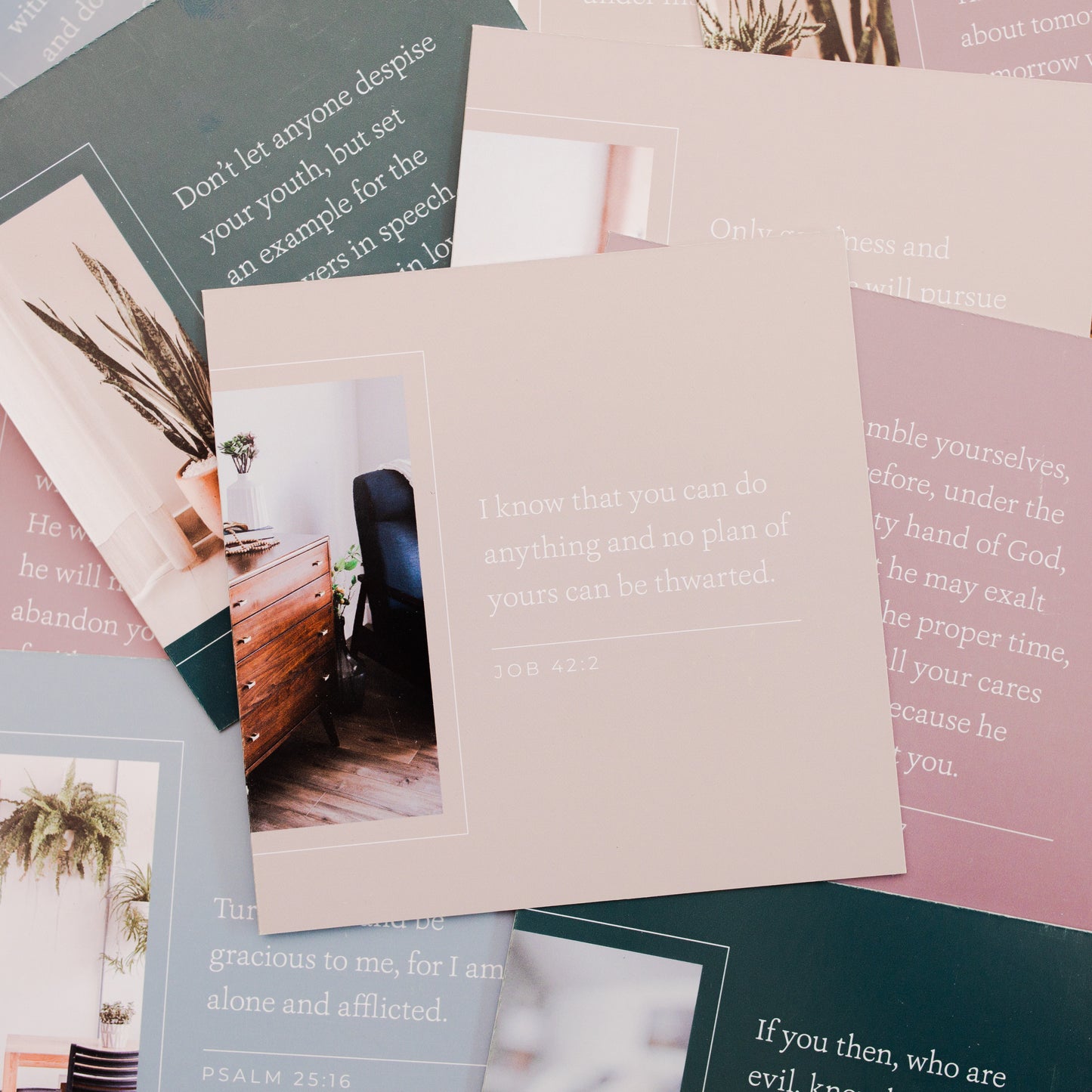 Encouragement for Empty Nesters | TDGC