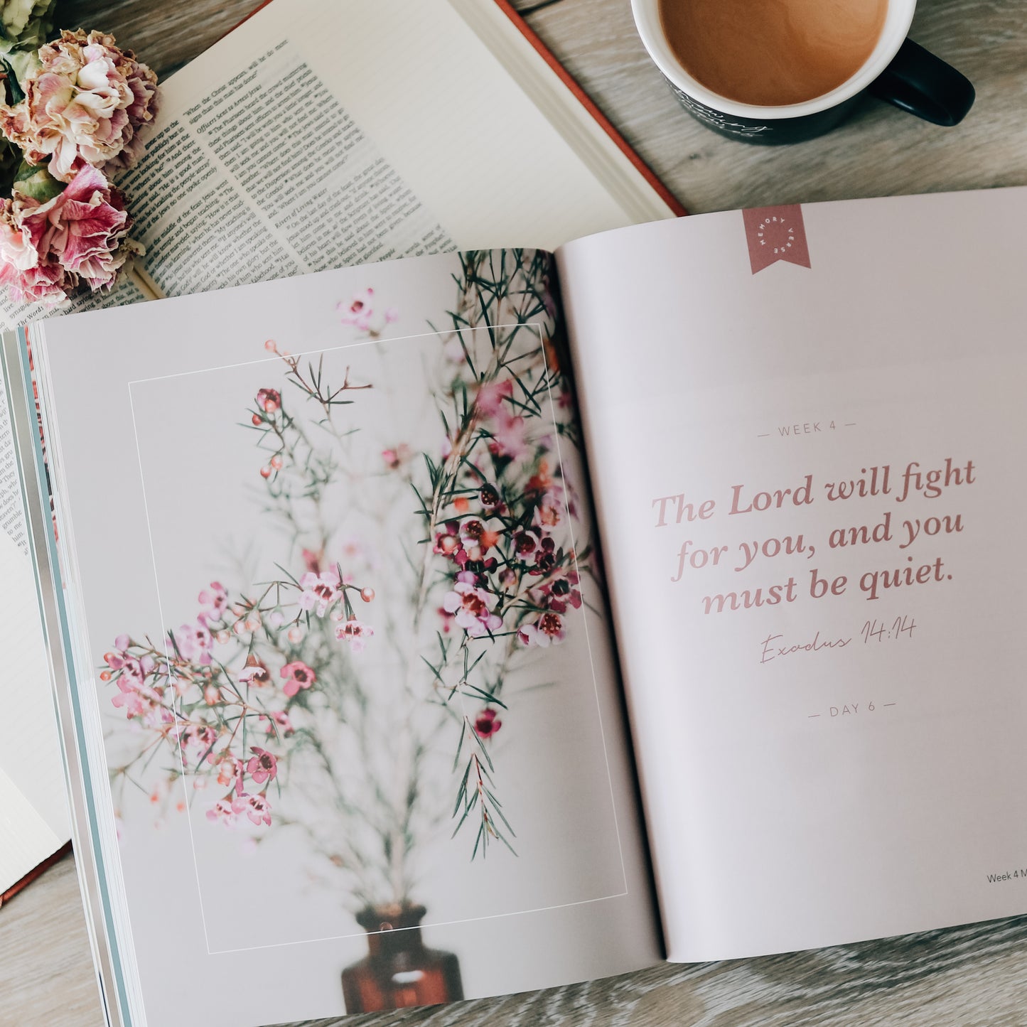 Faithful | From Eden to Eternity
